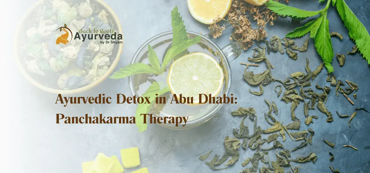 Ayurvedic Detox in Abu Dhabi What to Expect from Panchakarma Therapy